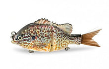 Load image into Gallery viewer, 4.9&quot; Pumpkinseed Sunfish Swimbait (438)