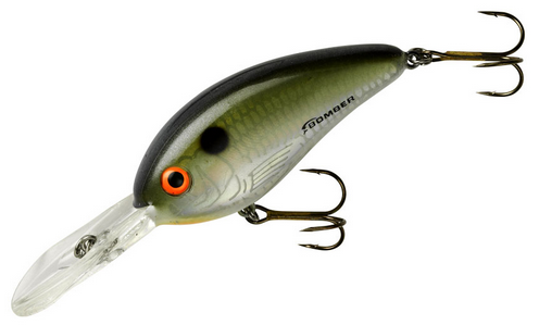 Bomber Fat Free Shad - 3/4 oz. - Tennessee Shad