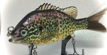 Load image into Gallery viewer, 4.9&quot; Pumpkinseed Sunfish Swimbait (438)