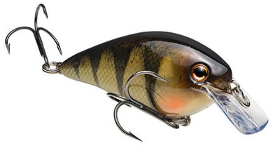 Strike King KVD 2.5 Square Bill - Yellow Perch